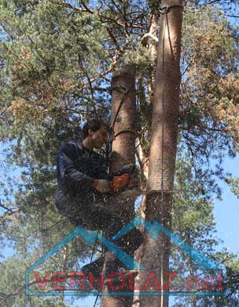 Удаление дерева по частям без завешивания